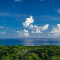 ▲鬱蒼と茂る木々の向うに広がる海と雲と遠くに見える南硫黄島の写真