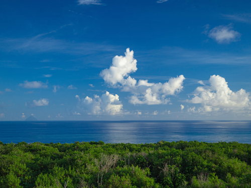 ▲鬱蒼と茂る木々の向うに広がる海と雲と遠くに見える南硫黄島