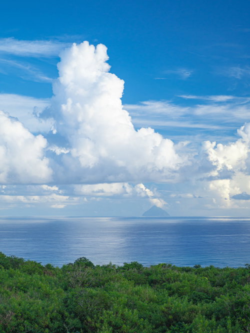 ジャングルの向うの雲の白さを映す海と空の間に見える南硫黄島