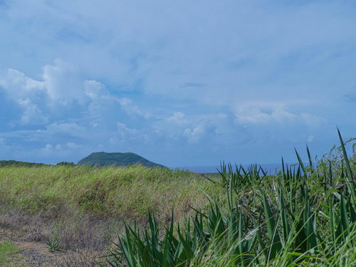 アオノリュウゼツランの群生のある草深い高台から見える摺鉢山