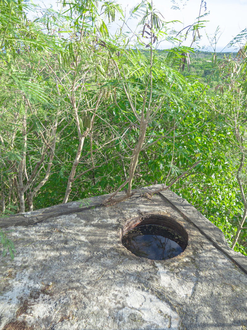 硫黄島のトーチカ屋上から見える樹木や丘陵地の眺望