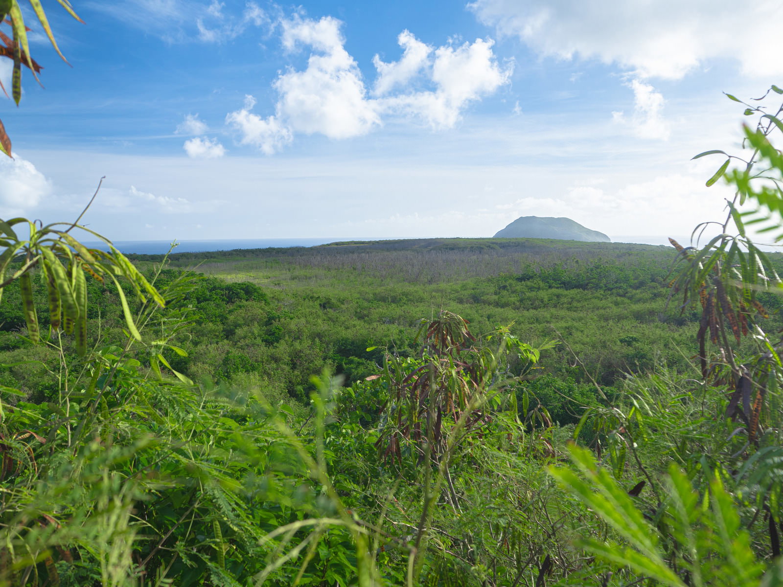 硫黄島のジャングルを眼下にみて摺鉢山を遠望する戦跡の風景
