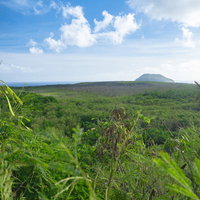 船見台トーチカ屋上から観た千鳥飛行場跡と摺鉢山の写真