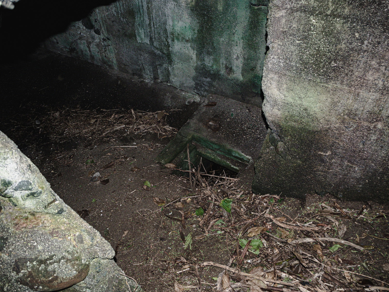 硫黄島の船見台砲台内部。コンクリート壁にコケが生え、床に土と枯れ枝が積もる