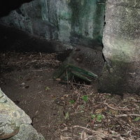 上から覗き見た船見台砲台内部の写真