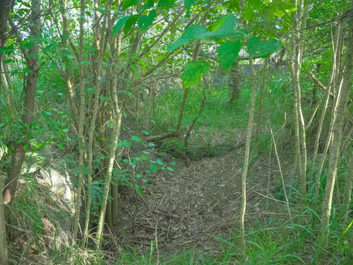 木々に囲まれほぼ土砂に埋まった船見台砲台
