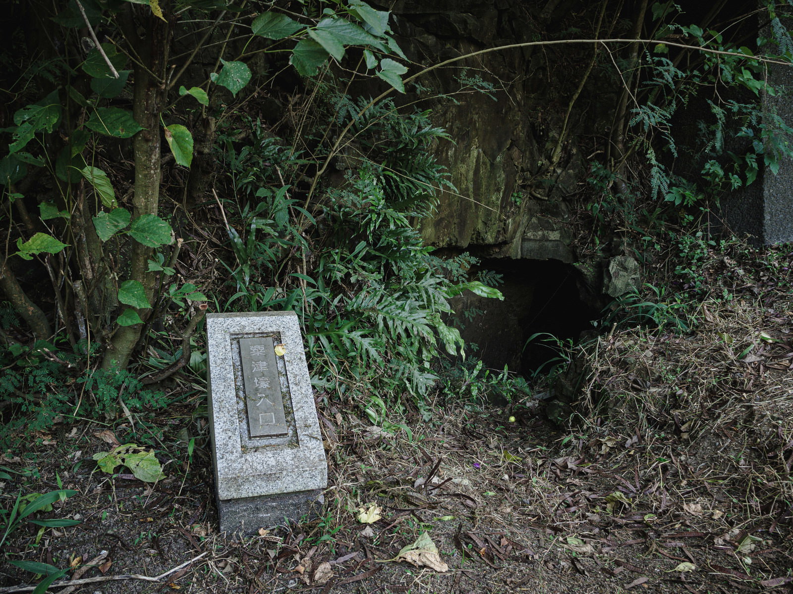 緑の植物に囲まれた粟津壕の入口部分