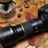 秋の落葉とPENTAX K-1 MarkⅡの写真