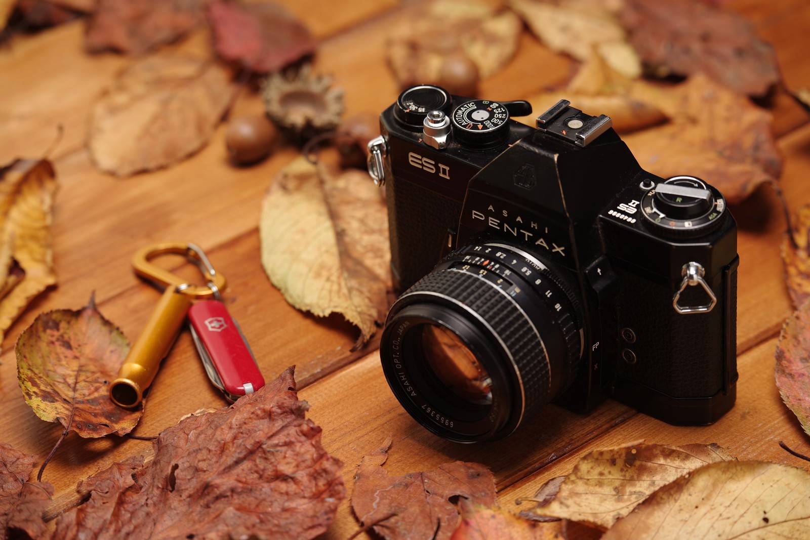 色とりどりの落ち葉の上に置かれた黒いPENTAX ES IIフィルムカメラ