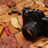 秋の落ち葉に置かれたPENTAX ES IIフィルムカメラの写真