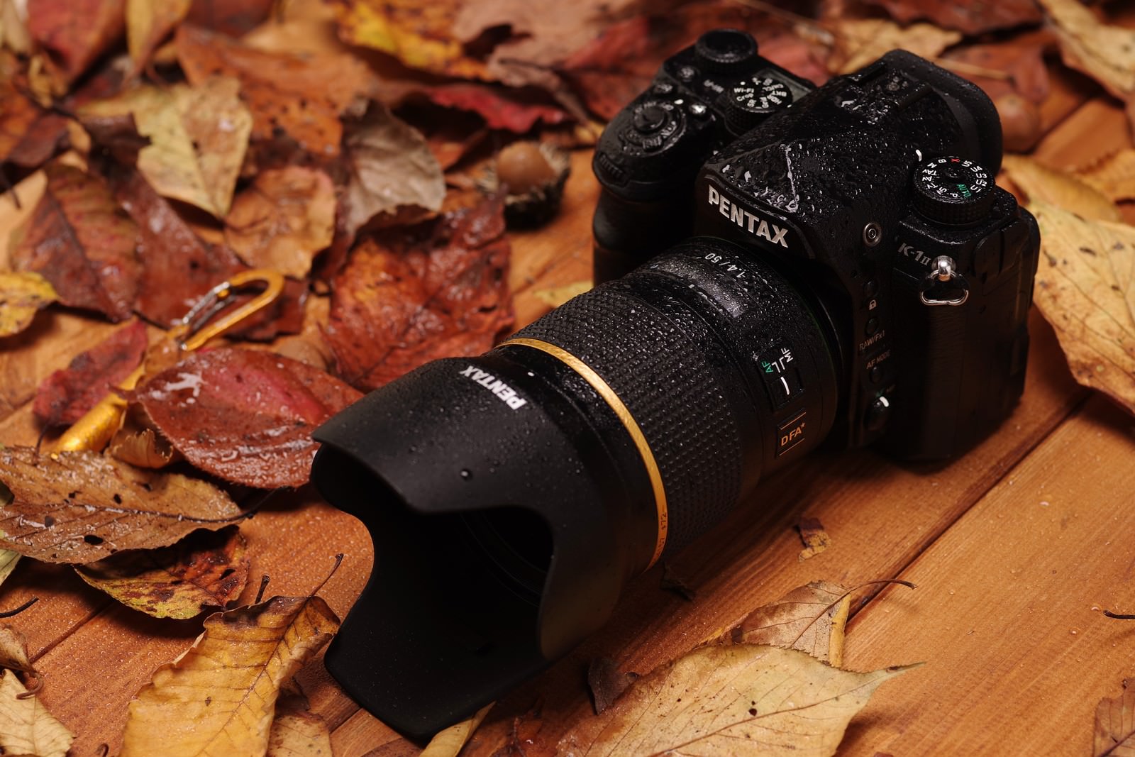 茶色い落ち葉の上に置かれた黒いPENTAX K-1MarkⅡカメラ