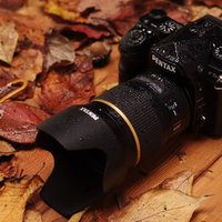 雨に濡れた落葉の上に置かれたK-1MarkⅡの写真