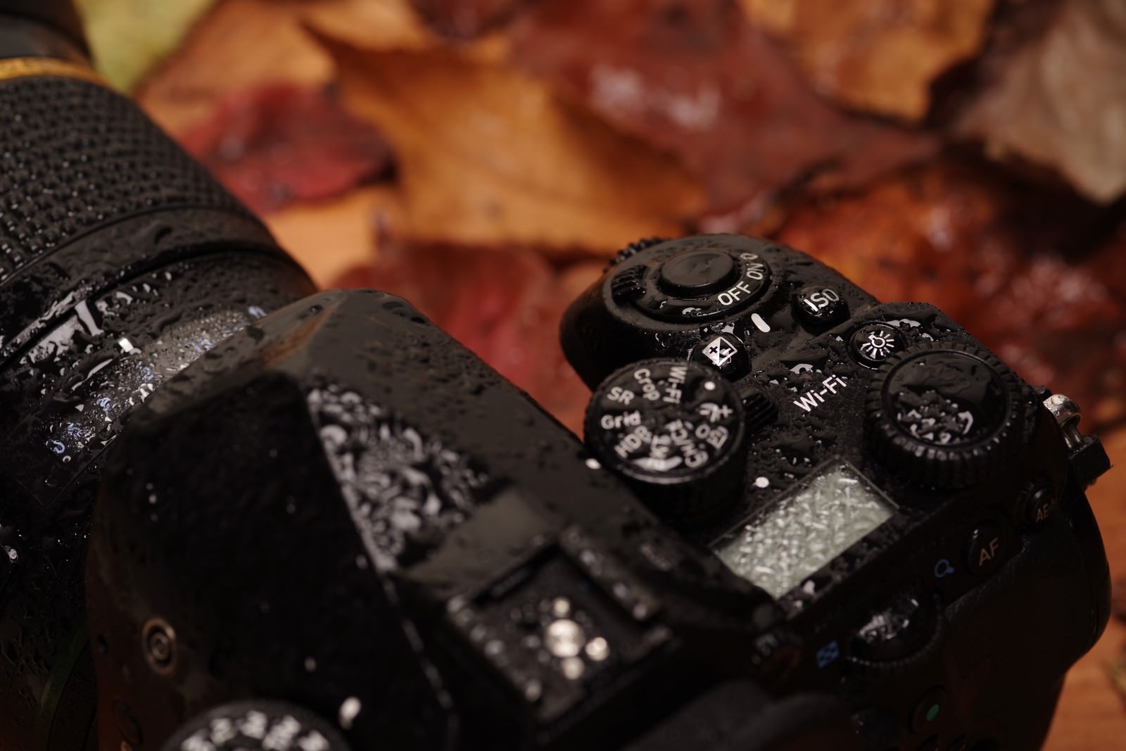 雨に濡れて水滴が付いた黒いPENTAX K-1 MarkⅡカメラ