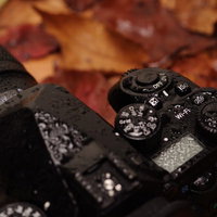 防滴性能を備えたフィールドカメラ PENTAX K-1 MarkⅡの写真