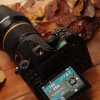 雨に濡れた落葉とPENTAX K-1 MarkⅡの液晶モニターの写真