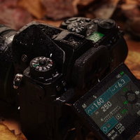防滴仕様のPENTAX K-1 MarkⅡを雨で濡らした状態の写真