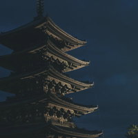 奈良の興福寺五重塔を夜間ライトアップした夜景の写真