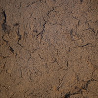 乾燥してひび割れた茶色い土の地面のテクスチャーの写真