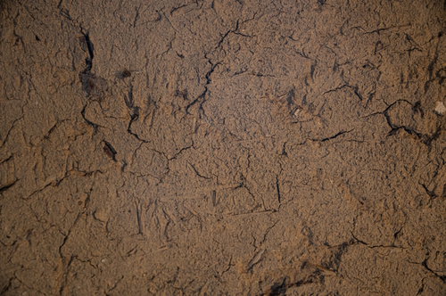 乾燥してひび割れた茶色い土の地面のテクスチャー