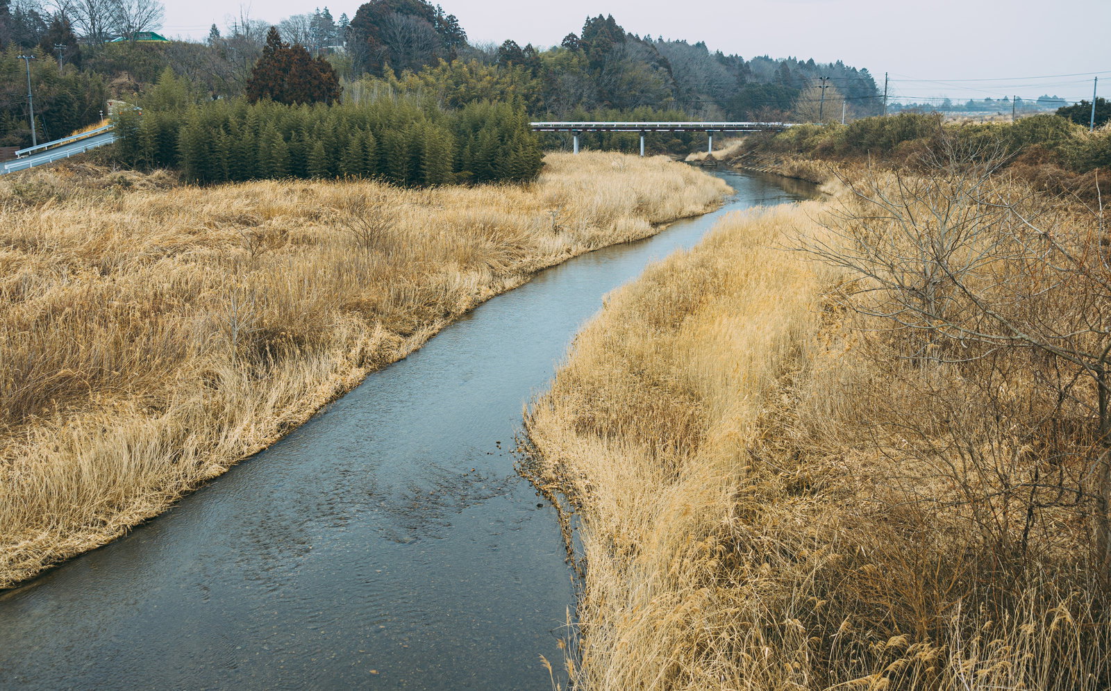冬の熊川。枯れ草に覆われた河川敷と青い流れ、奥に鉄道橋が見える
