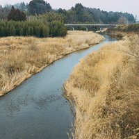 冬季の熊川と枯れ草に覆われた河川敷の風景の写真