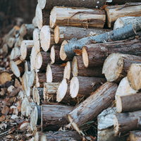 福島県楢葉町の天神岬公園に山積みされた丸太の写真