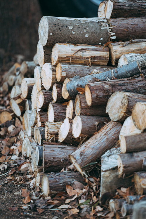 福島県楢葉町の天神岬公園に山積みされた丸太