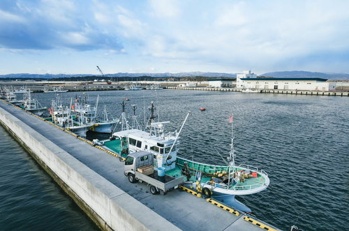 請戸漁港に停泊する漁船と荷揚げ作業の風景