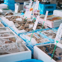 小名浜港の市場でずらりと並ぶ新鮮な海産物の写真