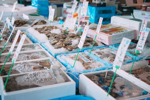 小名浜港の市場でずらりと並ぶ新鮮な海産物