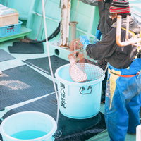 福島県請戸漁港での水揚げ作業を行う漁師たちの写真
