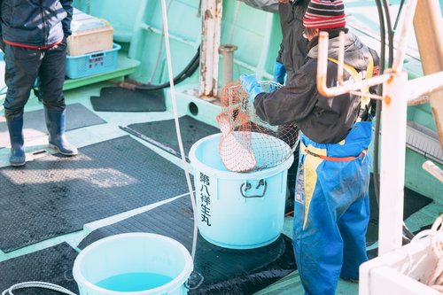 福島県請戸漁港での水揚げ作業を行う漁師たち