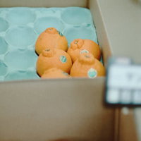 小高ストアで販売されている箱入りのポンカンの写真