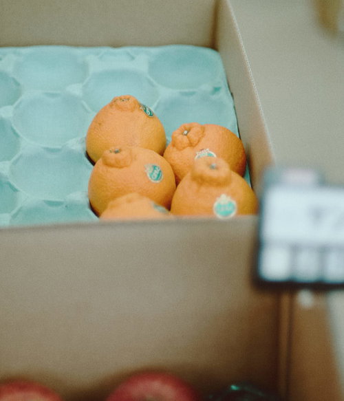 小高ストアで販売されている箱入りのポンカン