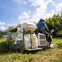 実りの秋、農機具で稲を収穫する農家の作業風景の写真