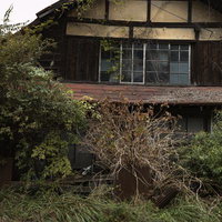 緑に覆われた古い木造の廃屋、つる植物と雑草に埋もれた朽ちた建物の写真