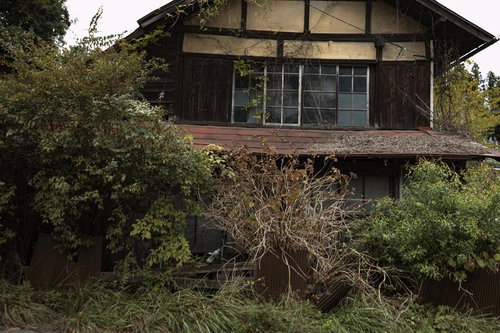 緑に覆われた古い木造の廃屋、つる植物と雑草に埋もれた朽ちた建物