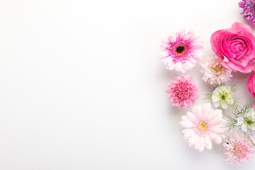 ピンクの薔薇とガーベラで彩る生花のフレーム