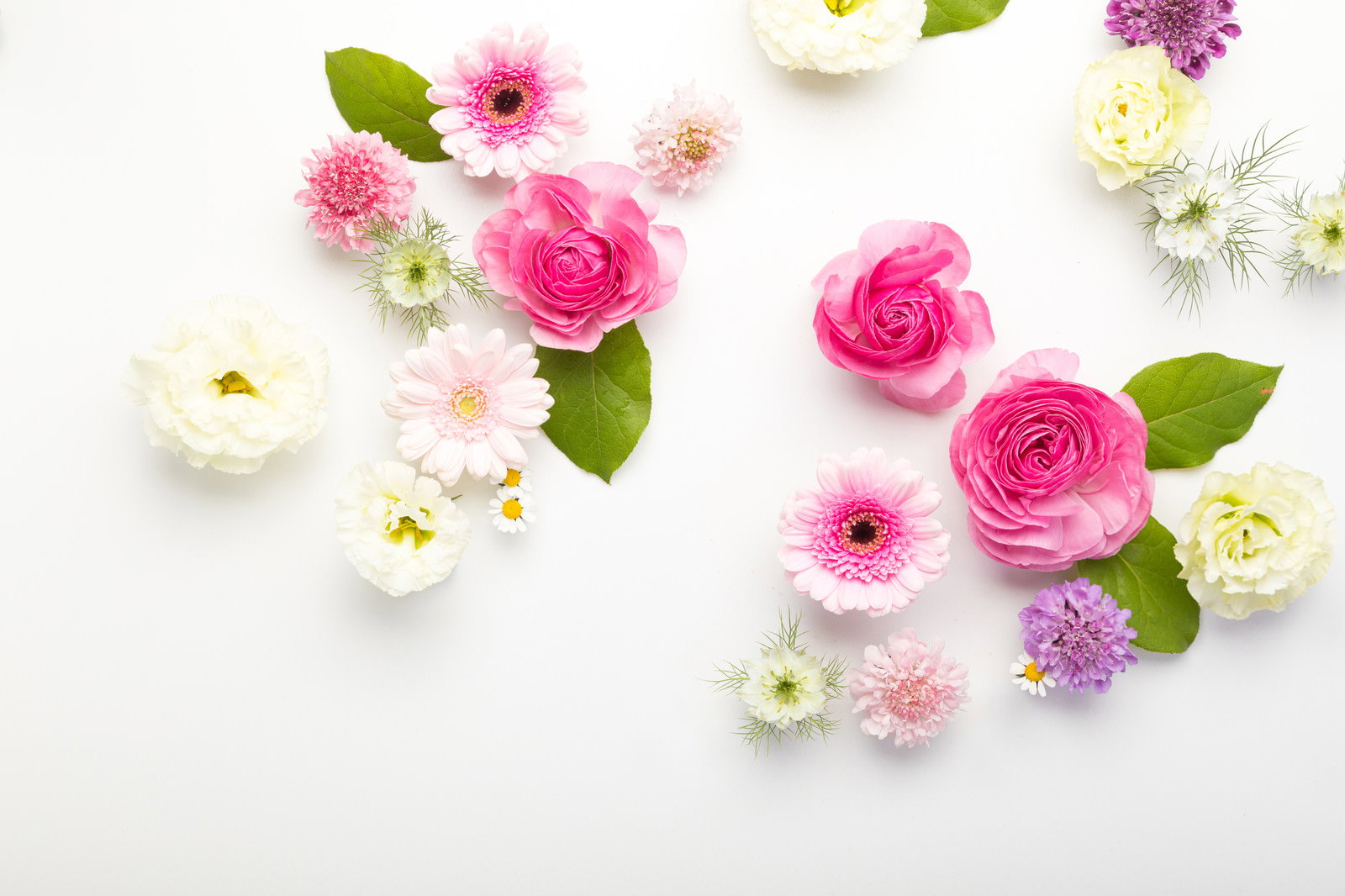 白い背景にピンクの薔薇と小花が散りばめられたフレーム状のレイアウト