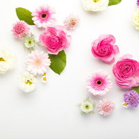 白背景に散りばめられた使いやすいお花のフレームの写真