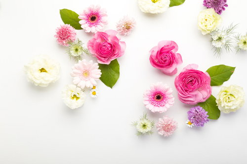 白背景に散りばめられた使いやすいお花のフレーム