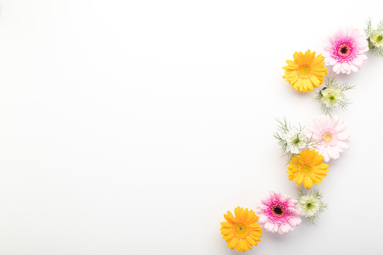 白い背景の角に黄色やピンクの花が配置されたフレーム風の写真