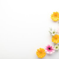 文字を入れやすいホワイトボードと色とりどりの生花フレームの写真