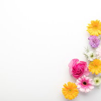 プレゼン資料作成に最適なホワイトボードと生花のフレームの写真