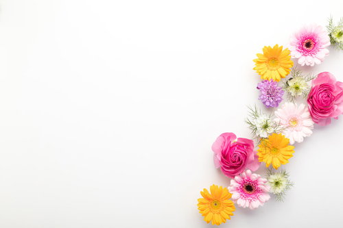 プレゼン資料作成に最適なホワイトボードと生花のフレーム