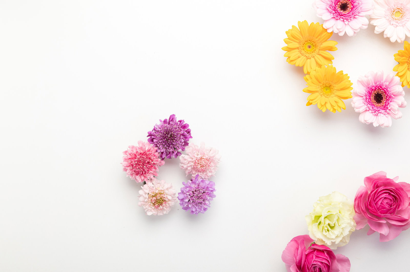白い背景にピンク、黄色、紫、白の生花で作られた小さな花輪