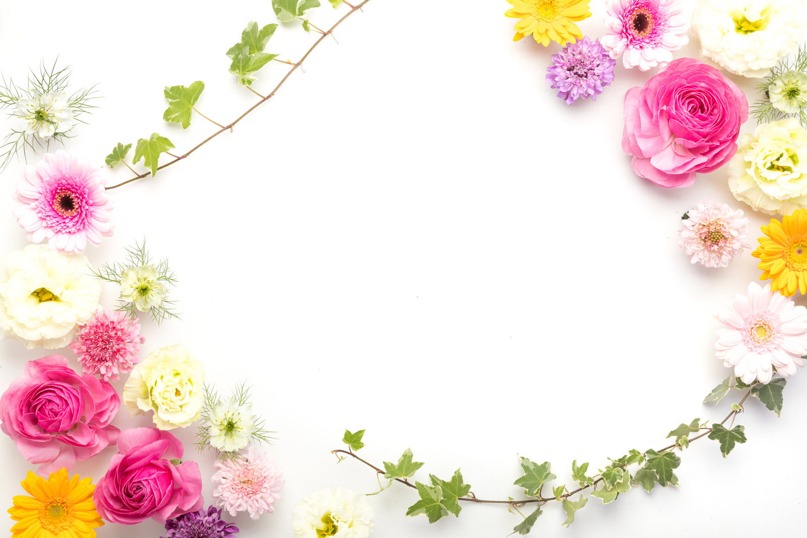 白背景にピンクの薔薇や黄色いガーベラなどカラフルな花で囲まれたフォトフレーム