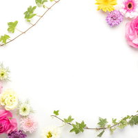カラフルな花で彩る白背景のフォトフレームの写真