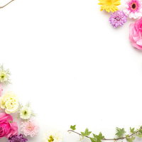 カラフルな花で装飾された白バックのフレームの写真