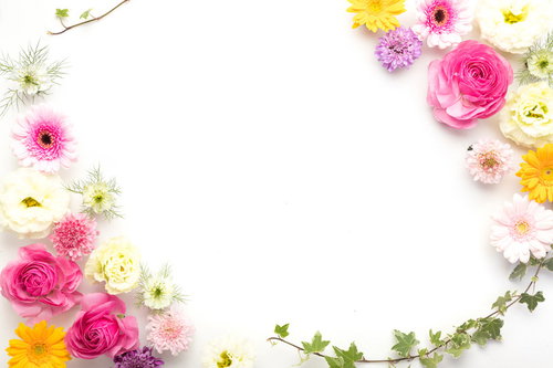 カラフルな花で装飾された白バックのフレーム